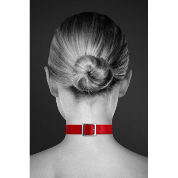 Collar fetish - Imagen 5
