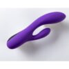 Dual vibrator V1