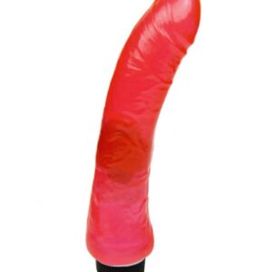 Vibrador gelatina 21cm Mi Gozo