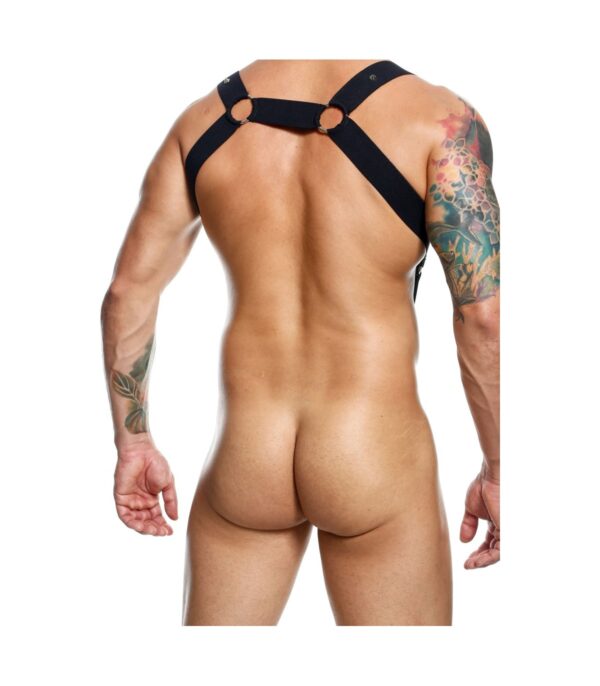 Straight back harness Dngeon - Imagen 5