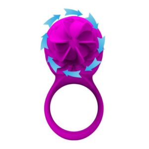 Anillo rotador Francess