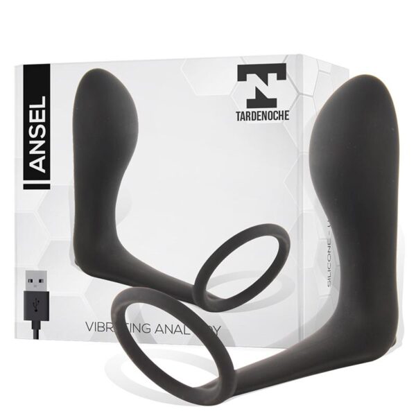 Plug anal con anillo USB