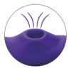 Panty con succionador Teaser - Imagen 8