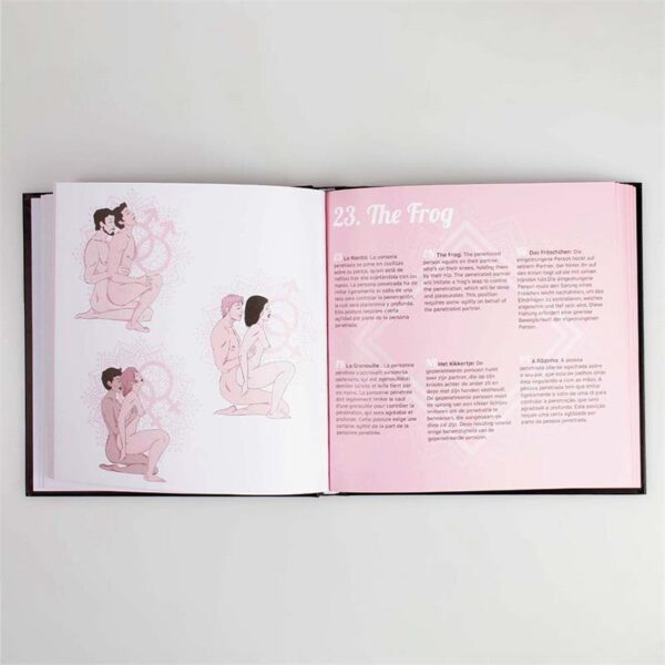 Libro Kamasutra - Imagen 2