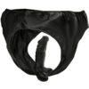 Panties con plug y dildo intercambiable