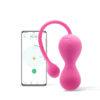 Smart kegel master balls