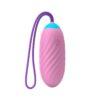 Huevo vibrador con mando Egy - Imagen 5