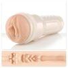 Fleshlight girls Stoya Destroya - Imagen 4