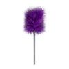 Kit SM Secret pleasure chest purple - Imagen 8