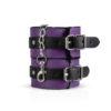 Kit SM Secret pleasure chest purple - Imagen 5