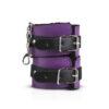Kit SM Secret pleasure chest purple - Imagen 3