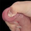 Dildo dual layer recargable 9" - Imagen 11