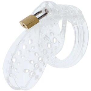 Chastity cock cage acrylic