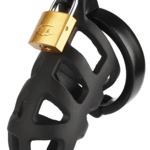 Brutal chastity cage