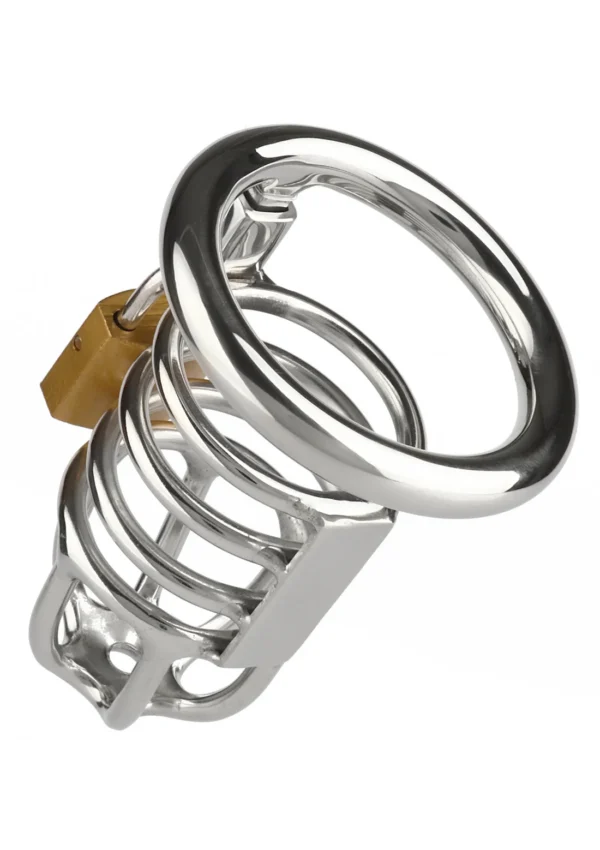 Master chastity cock cage - Imagen 2