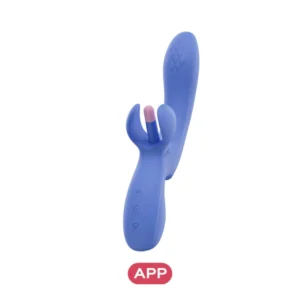 Rabbit APP Flipping dual vibrator Honeyplaybox