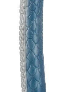Dildo Eel of ecstasy