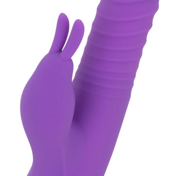 Rabbit con thrusting y calor Teazers - Imagen 6