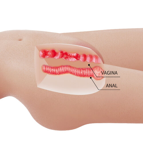 Torso realista Mia 8.5kg - Imagen 8
