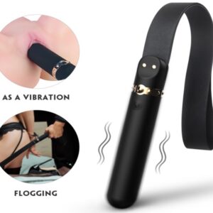 Látigo con mango recargable Rizey