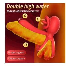 2 – copia – copia – copia