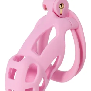 Penis prison cock cage